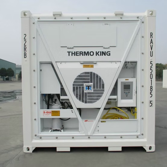 Thermo King 20 Fuß Trockencontainer